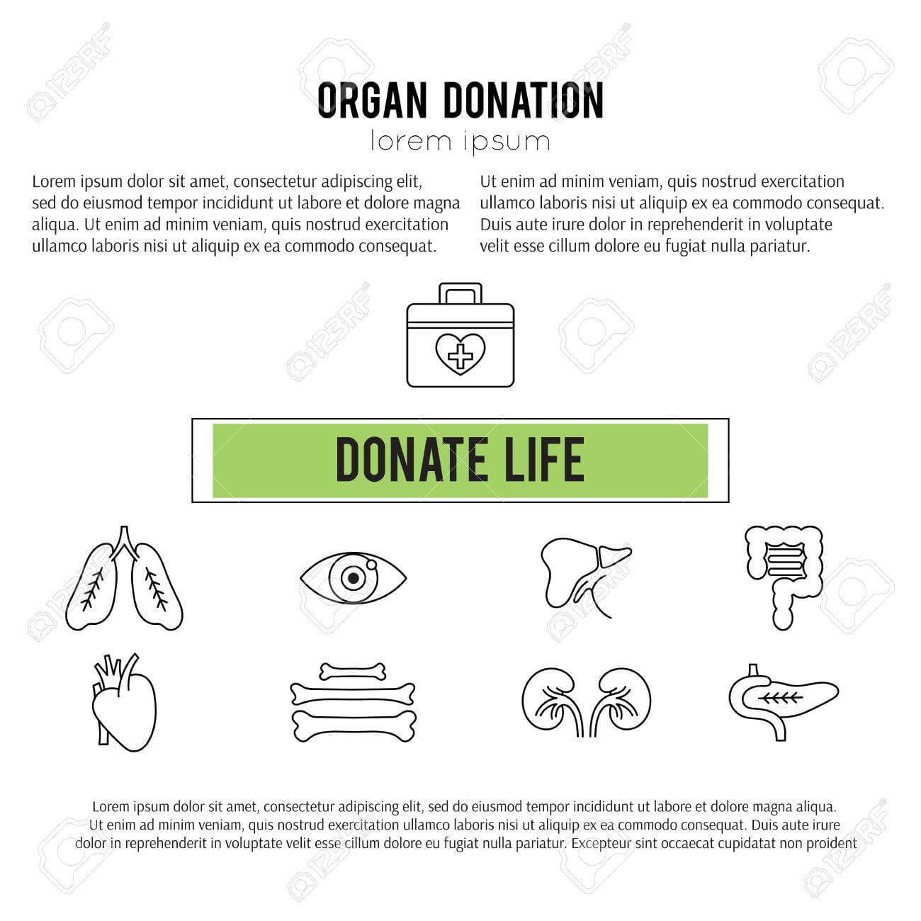 Organ Donation Template With Organ Donor Card Template