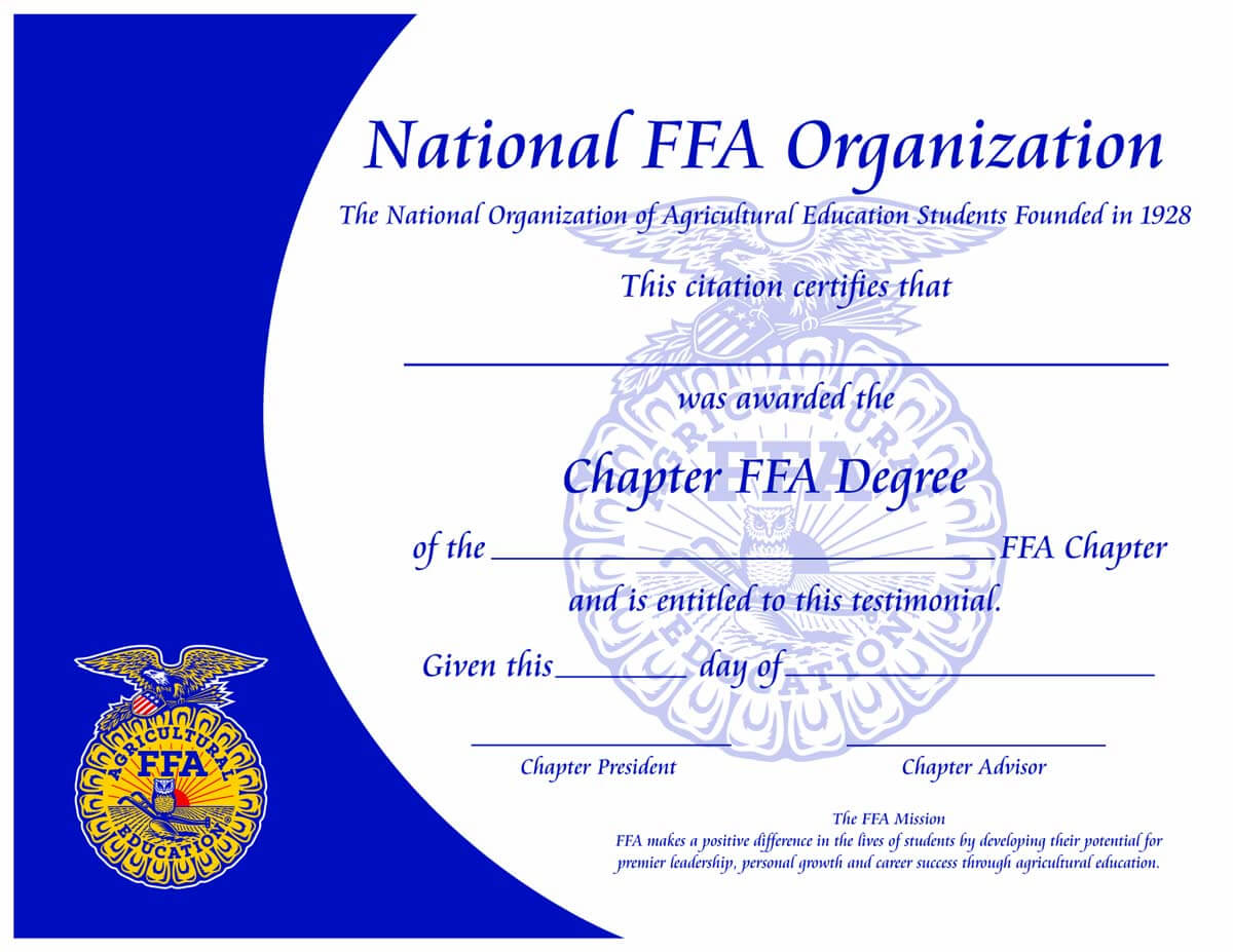 Paper Certificates Regarding Leadership Award Certificate Template