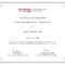 Phd Certificate – Calep.midnightpig.co Inside Doctorate Certificate Template