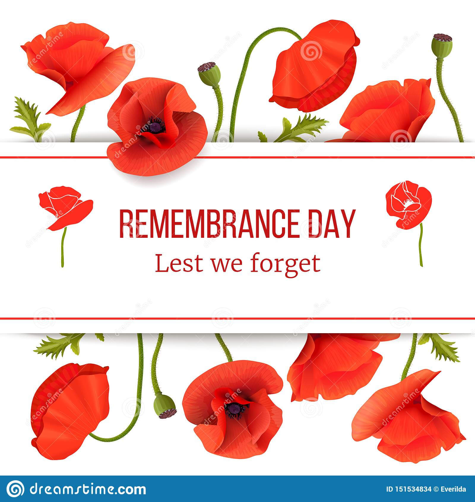Poppy Red Flowers Card Template With Copy Space On Stripe With Remembrance Cards Template Free