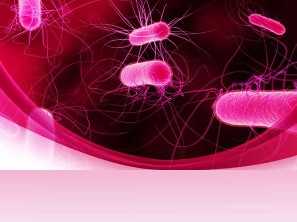 Powerpoint Bacteria Templates For Powerpoint Presentations Regarding Virus Powerpoint Template Free Download