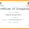 Printable Doc Pdf Editable Training Certificate Template In Template For Training Certificate