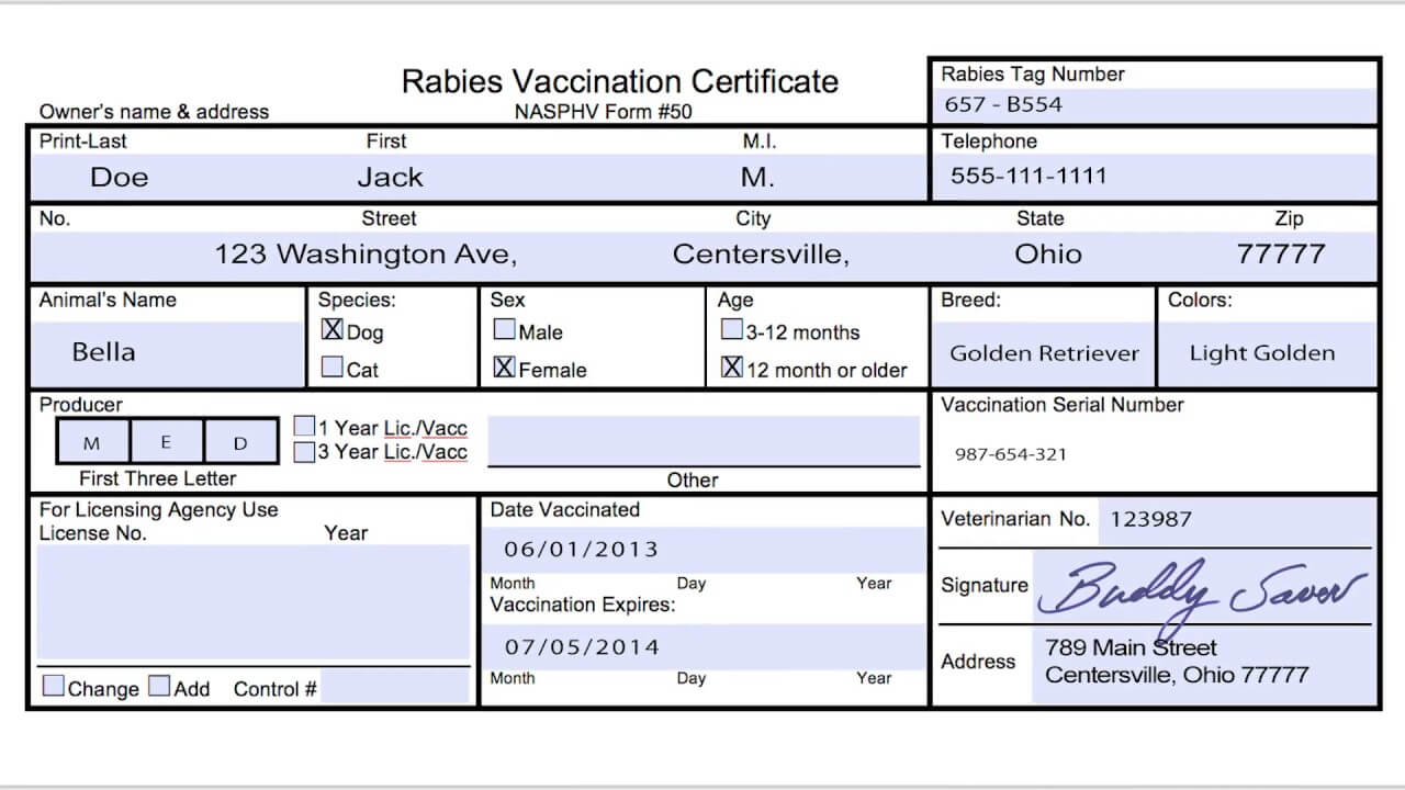 Rabies Vaccination Certificate – Calep.midnightpig.co Throughout Dog Vaccination Certificate Template
