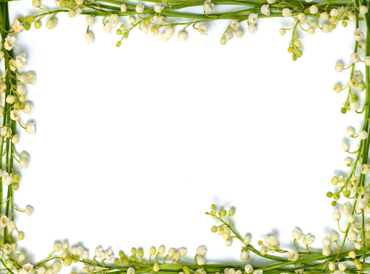 Real Floral Frame Backgrounds For Powerpoint – Flower Ppt For Funeral Powerpoint Templates