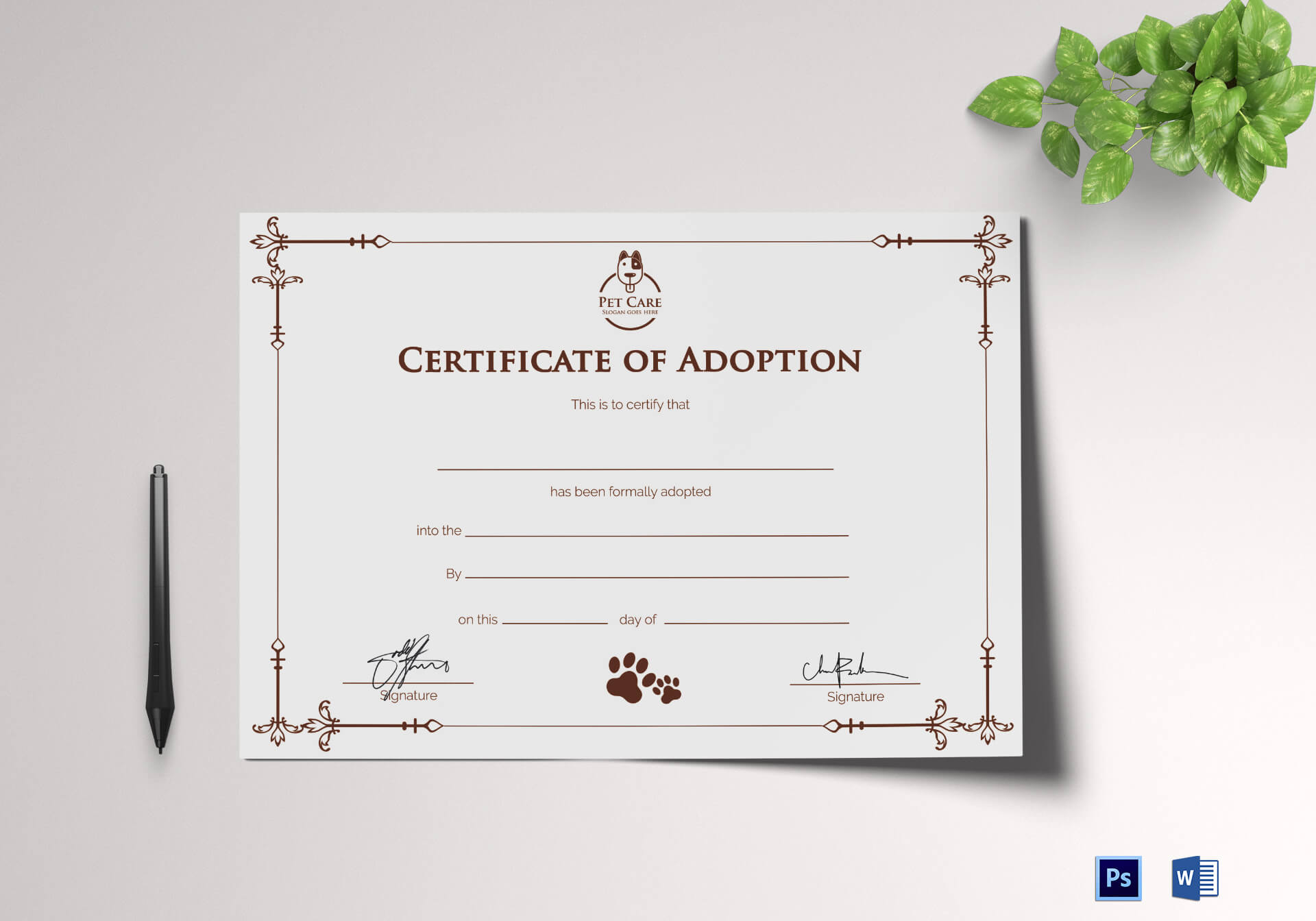 Simple Adoption Certificate Template Intended For Blank Adoption Certificate Template