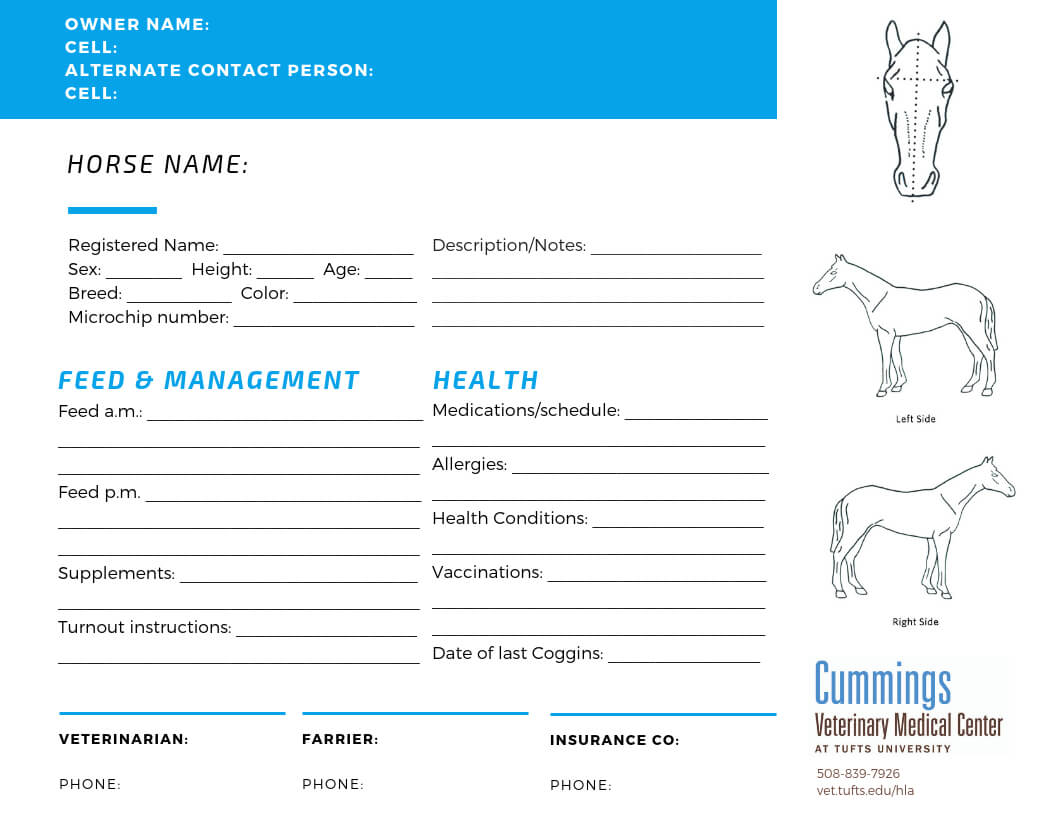 Travel Confidently – News Center At Cummings School Of With Horse Stall Card Template