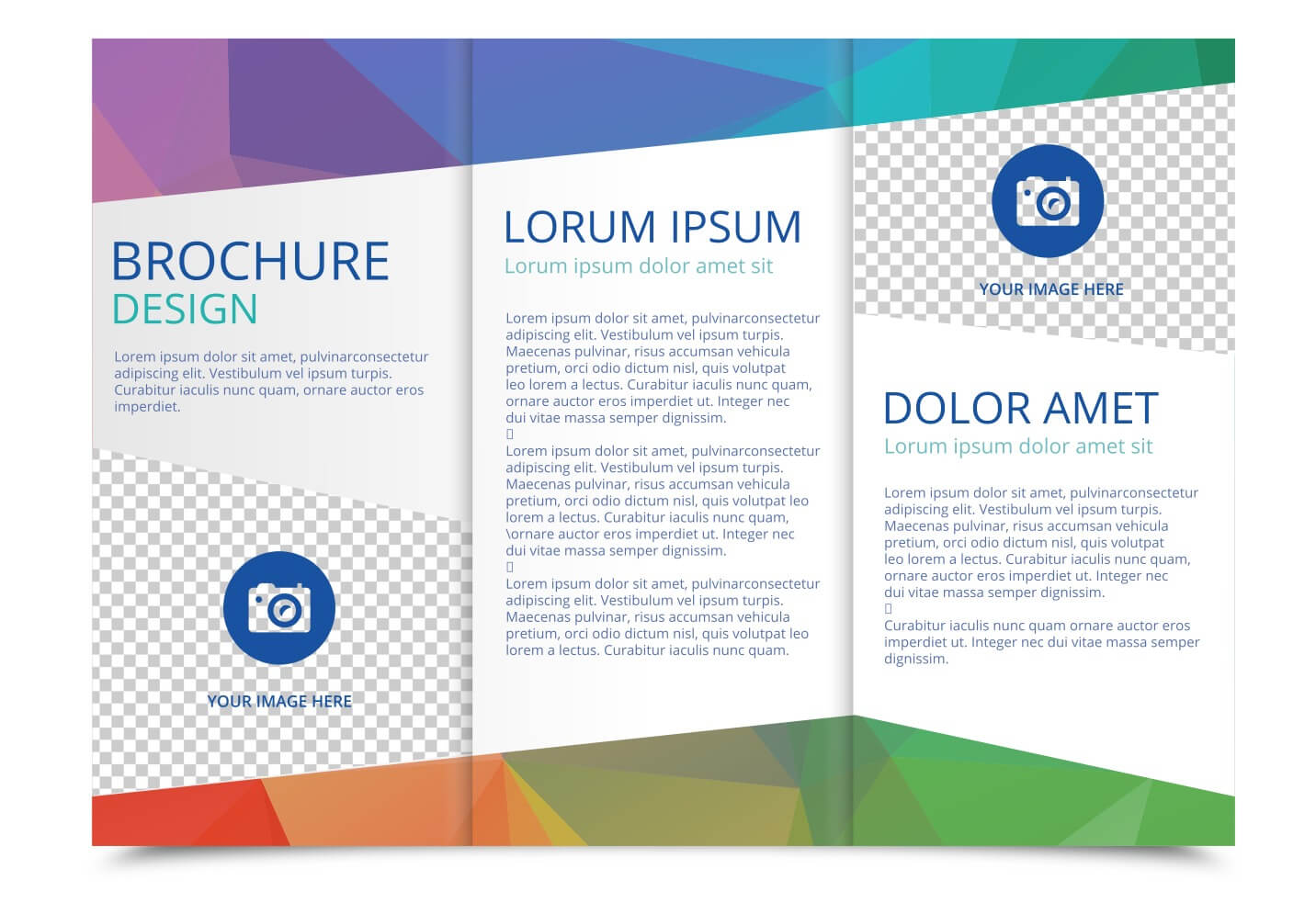 Tri Fold Brochure Vector Template - Download Free Vectors With 3 Fold Brochure Template Free Download