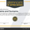 Vector Certificate Template Illustration Certificate Size With Regard To Certificate Template Size