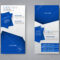Vector Flyer And Leaflet Design. Set Of Two Side Brochure Templates Throughout Ngo Brochure Templates